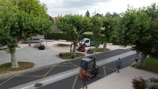 Le marronnier nouveau arrive sur son nouvel emplacement, conduit par le Service des espaces verts de la commune. 